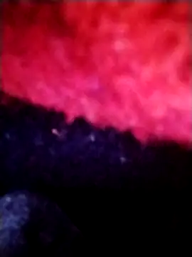 Snapshot of salimbasha chatting on 09.28.25 salimbasha online show from 09.28.25