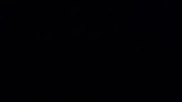 Snapshot of NightlyPeephole chatting on 10.10.25 NightlyPeephole online show from 10.10.25