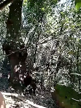 KalendaXL online show from 04.20.26