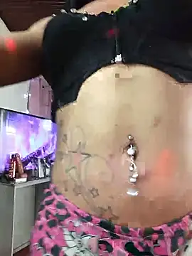 translatina777 online show from 07.02.26