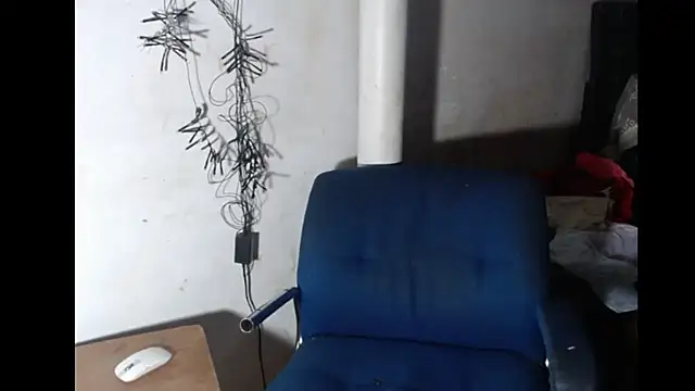 BebaFoxx online show from 02.08.26