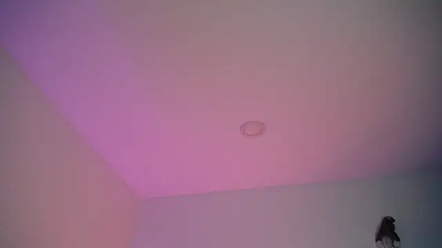 Stepha babe online show from 09.08.25