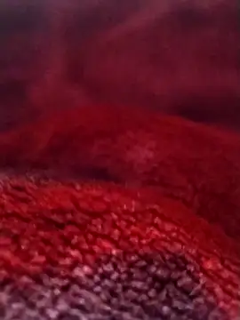 Snapshot of saneer69tew chatting on 02.26.26 saneer69tew online show from 02.26.26