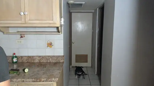 Snapshot of BlondZilla chatting on 11.17.25 BlondZilla online show from 11.17.25