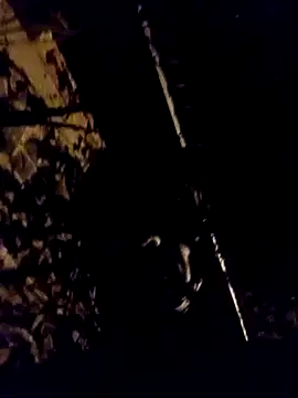 Ridick2025 online show from 04.11.26