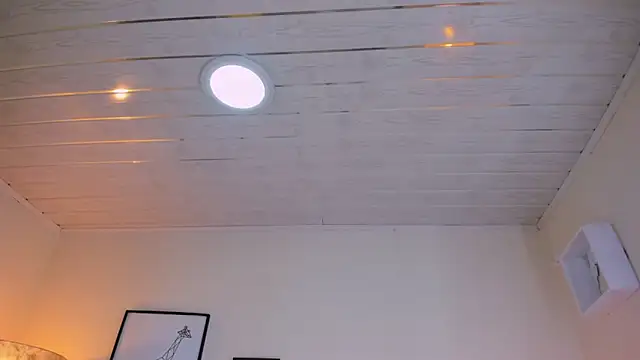 Snapshot of LusyKitty chatting on 12.02.25 LusyKitty online show from 12.02.25