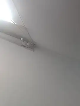 Snapshot of Tattoboy19cm chatting on 10.19.25 Tattoboy19cm online show from 10.19.25