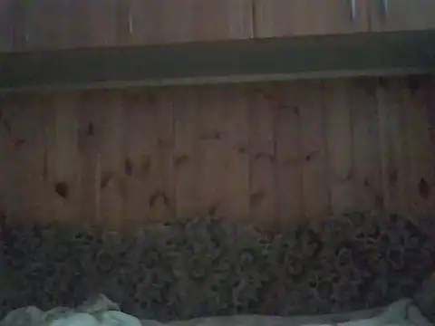 Maksymilian1 online show from 11.11.25