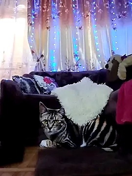 SquirtMilf00 online show from 02.18.25