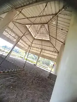 Snapshot of Desi_Horny_Boys chatting on 10.21.25 Desi Horny Boys online show from 10.21.25