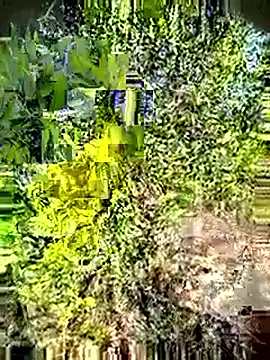 Snapshot of Desi_Horny_Boys chatting on 05.03.26 Desi Horny Boys online show from 05.03.26