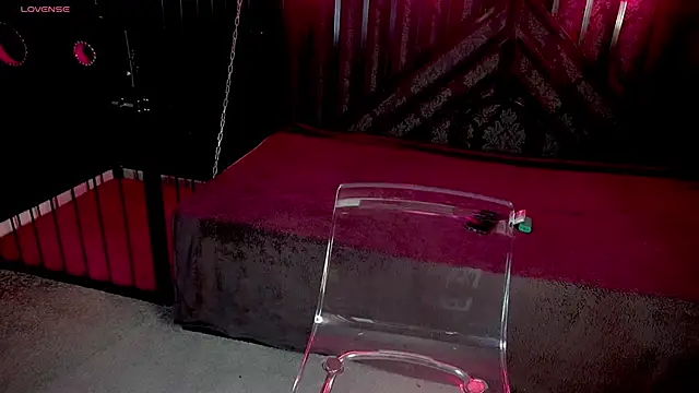 LiviaShy online show from 12.02.25