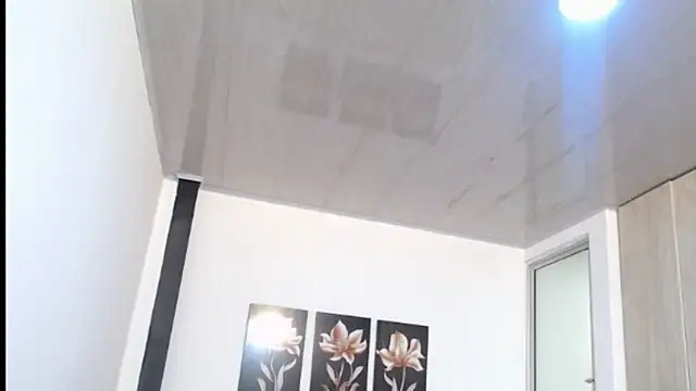 pinky f00x online show from 05.11.26