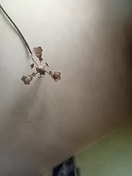 ToughDraft14 online show from 04.27.26