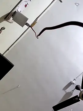 papukurty online show from 10.07.25