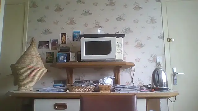 Snapshot of gegevincent chatting on 05.02.26 gegevincent online show from 05.02.26