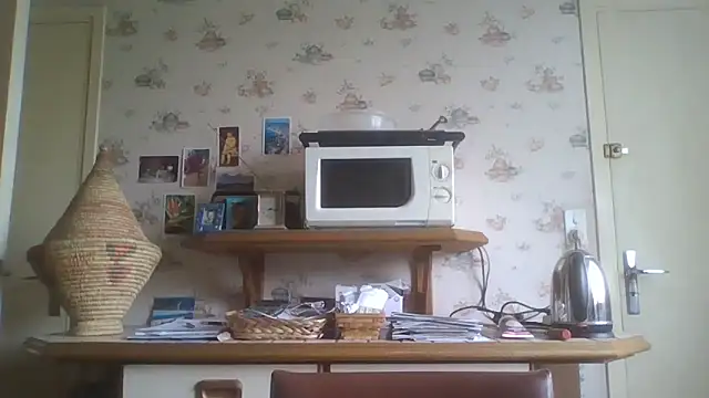 Snapshot of gegevincent chatting on 05.03.26 gegevincent online show from 05.03.26