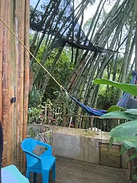 Rose-andres online show from 02.01.26