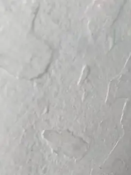 yaraa49 online show from 10.23.25