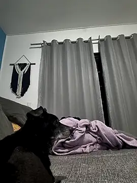 Snapshot of mikeara90 chatting on 10.22.25 mikeara90 online show from 10.22.25