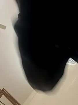 zack6x online show from 12.02.25