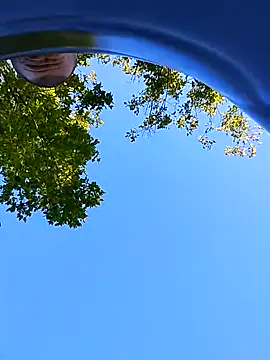 helldonk online show from 09.21.25