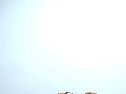 Snapshot of saara_johnson496 chatting on 10.30.25 saara johnson496 online show from 10.30.25