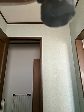 Snapshot of yuma0815 chatting on 08.06.26 yuma0815 online show from 08.06.26