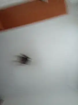 Hottiesophie online show from 03.25.26