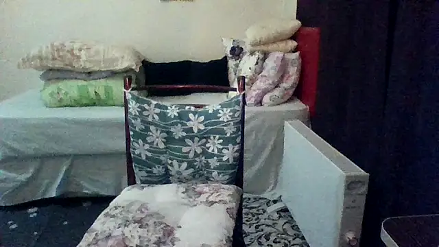 st206boy online show from 03.08.26