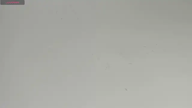 Sophia Ebony online show from 04.17.26