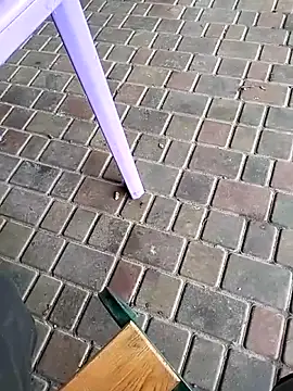 Snapshot of Odecca11 chatting on 11.23.25 Odecca11 online show from 11.23.25