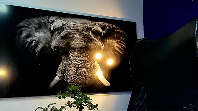 king falconer online show from 11.27.25