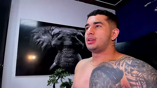 king falconer online show from 01.11.26