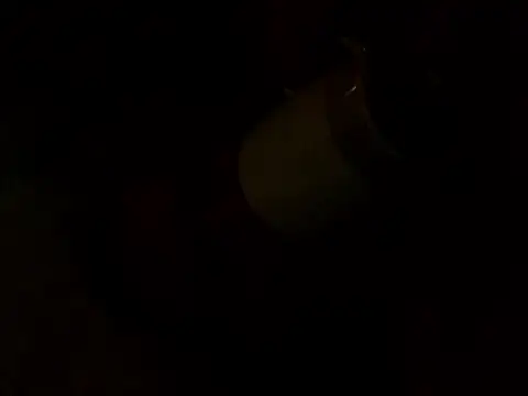 PointXXL online show from 12.16.25