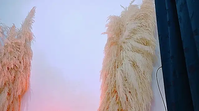 Snapshot of JulietaDavis chatting on 02.20.26 JulietaDavis online show from 02.20.26