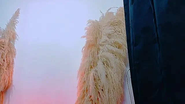 Snapshot of JulietaDavis chatting on 02.22.26 JulietaDavis online show from 02.22.26