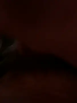 dice4422 online show from 04.02.26