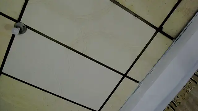 AlaskaFlowers  online show from 09.12.25