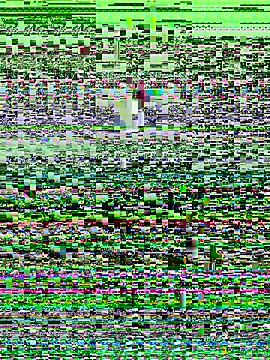 haiyan125216 online show from 09.09.25