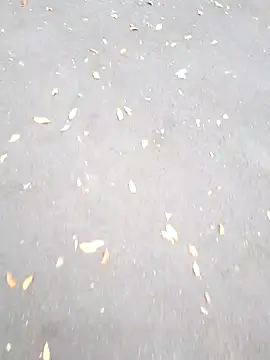 Snapshot of Arya_Lexy chatting on 10.26.25 Arya Lexy online show from 10.26.25