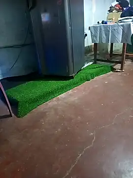 BabyHansi online show from 03.29.26