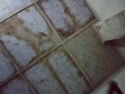 Snapshot of RFeltomWhitJ chatting on 11.17.25 RFeltomWhitJ online show from 11.17.25