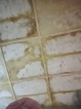 Snapshot of RFeltomWhitJ chatting on 11.18.25 RFeltomWhitJ online show from 11.18.25