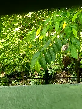 Snapshot of Exoticovergon chatting on 03.12.26 Exoticovergon online show from 03.12.26