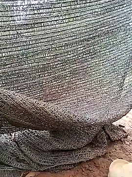 Tina 2pp online show from 11.05.25