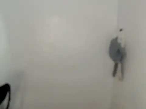 ynotyu online show from 03.29.26