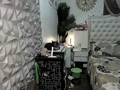 janecomander online show from 03.02.26