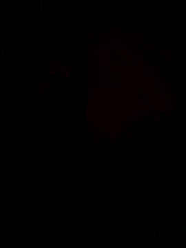 Ori-Lynk online show from 12.01.25