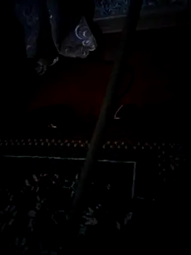 elik555 online show from 11.12.25